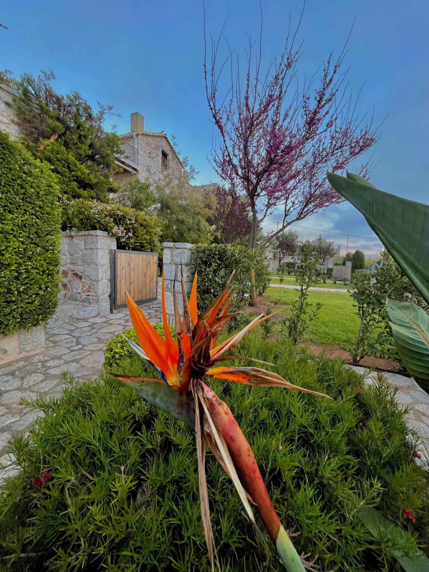 Achelatis Traditional Guest Houses Areopoli Exterior photo